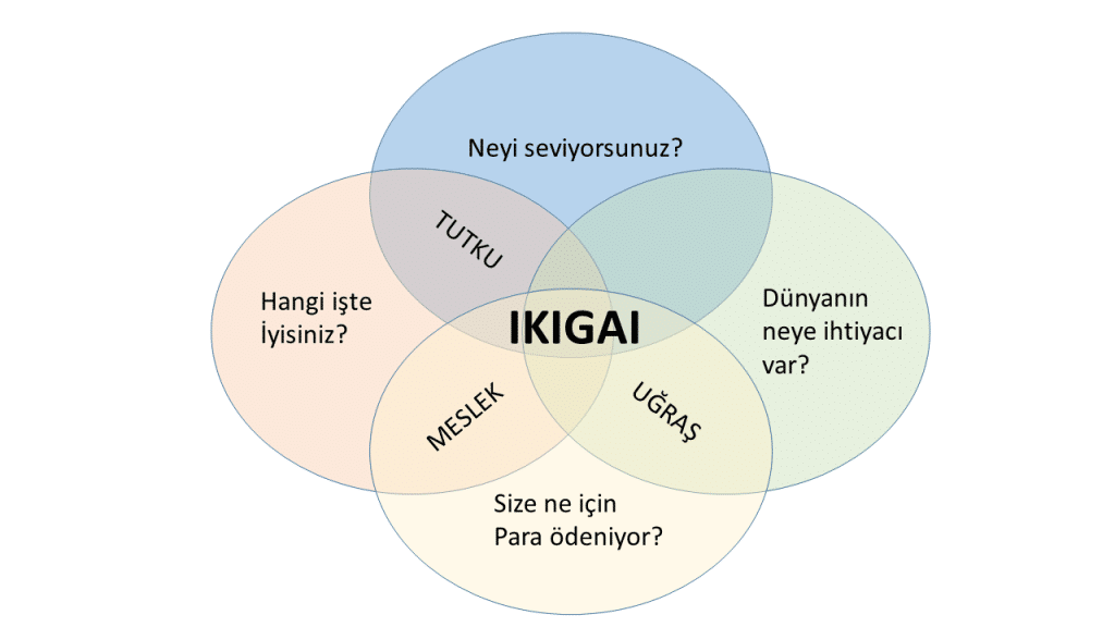 Japon Düşünce ve Duygu Sistemleri (2024)